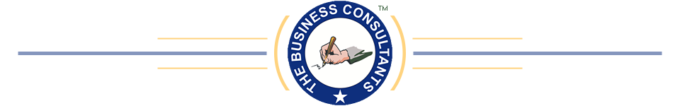 THE BUSINESS CONSULTANTS